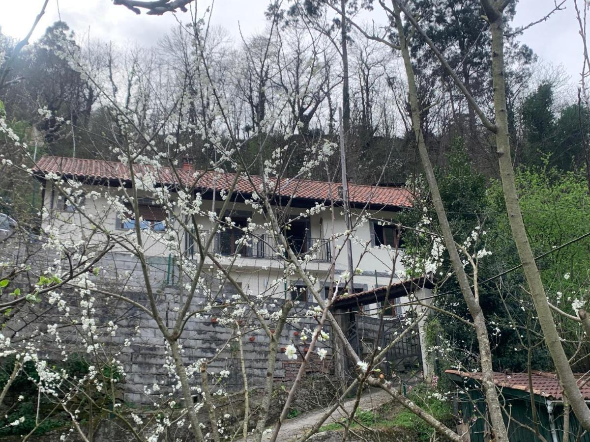 Casa Rural En Santa Cruz-Mieres Bustiello (Mieres) Exterior foto