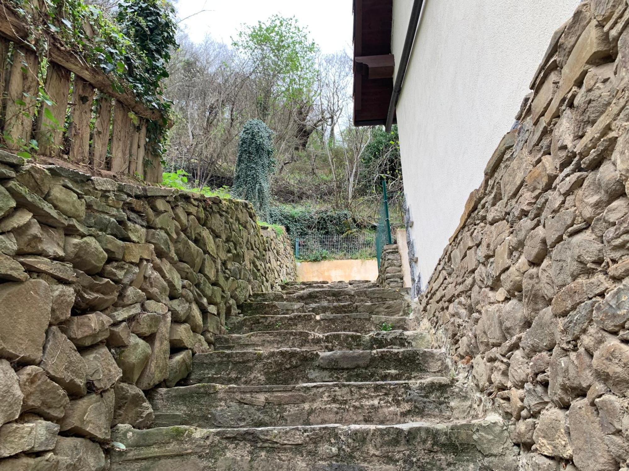 Casa Rural En Santa Cruz-Mieres Bustiello (Mieres) Exterior foto
